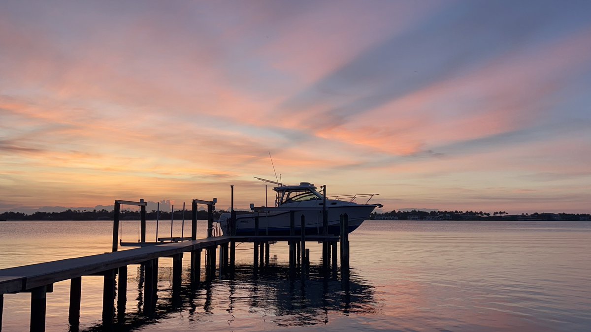 ࿋With fear for our Democracy, I dissent. #RBG tweet media