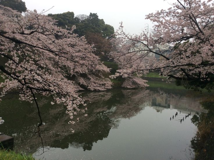 𝕰𝖑𝖊𝖒𝖒𝖎𝖗𝖊 tweet media