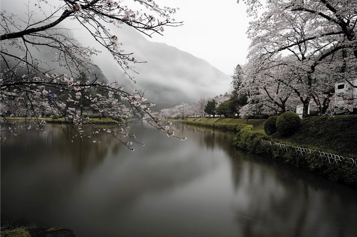 𝕰𝖑𝖊𝖒𝖒𝖎𝖗𝖊 tweet media