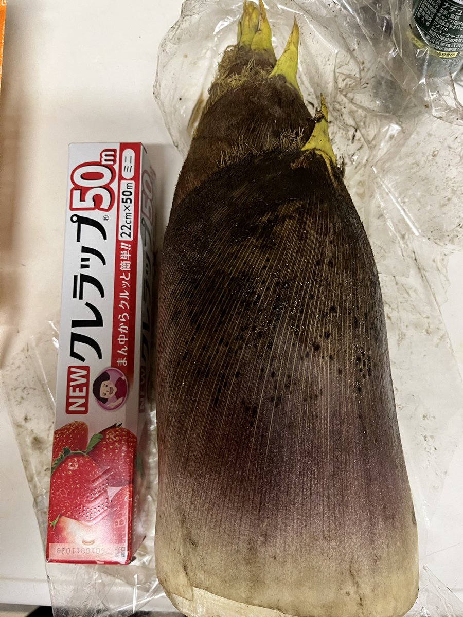 こまち tweet media