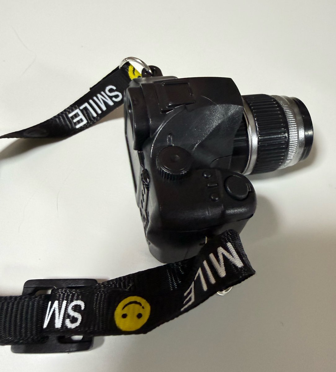 にゃんこchan🐾 tweet media