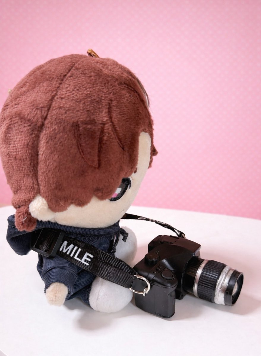 にゃんこchan🐾 tweet media