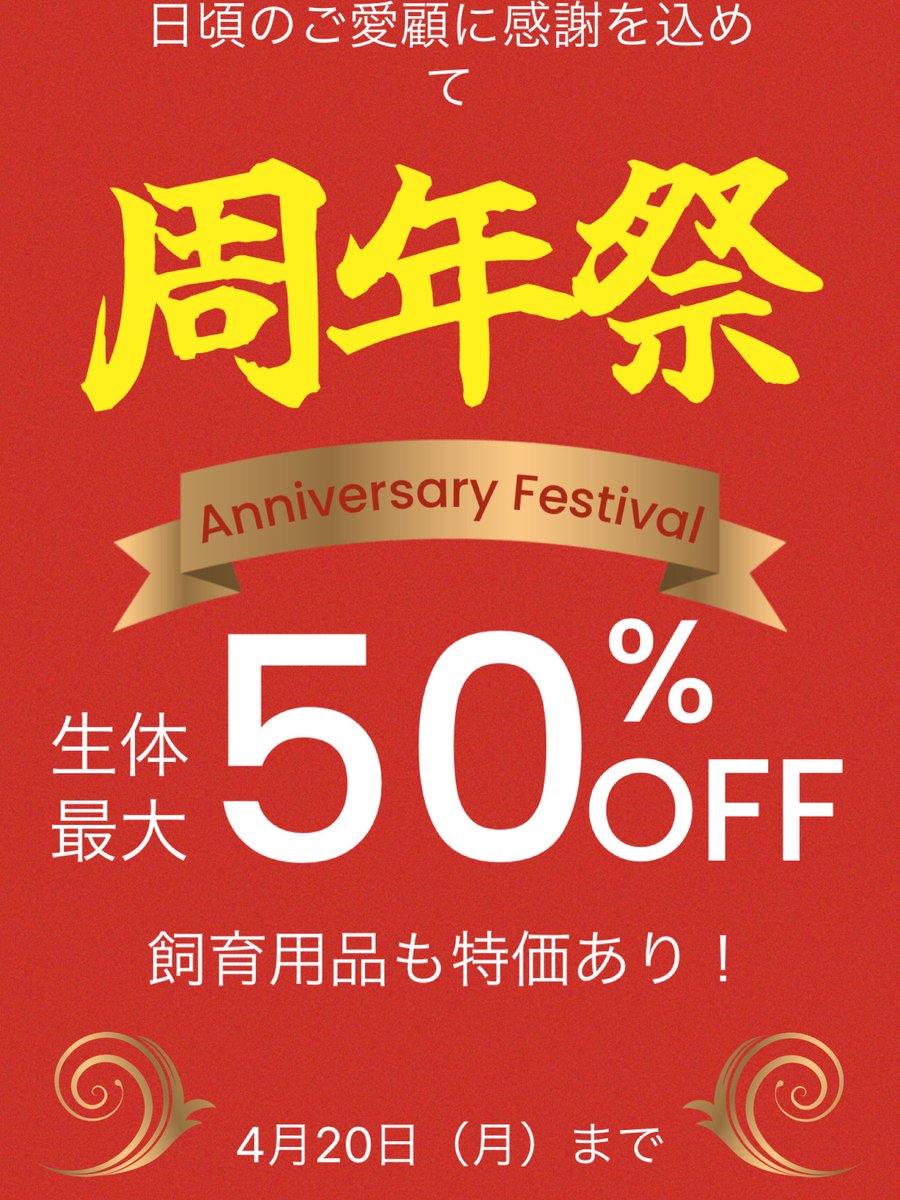 KPW公式|昆虫生体・標本・オークション tweet media