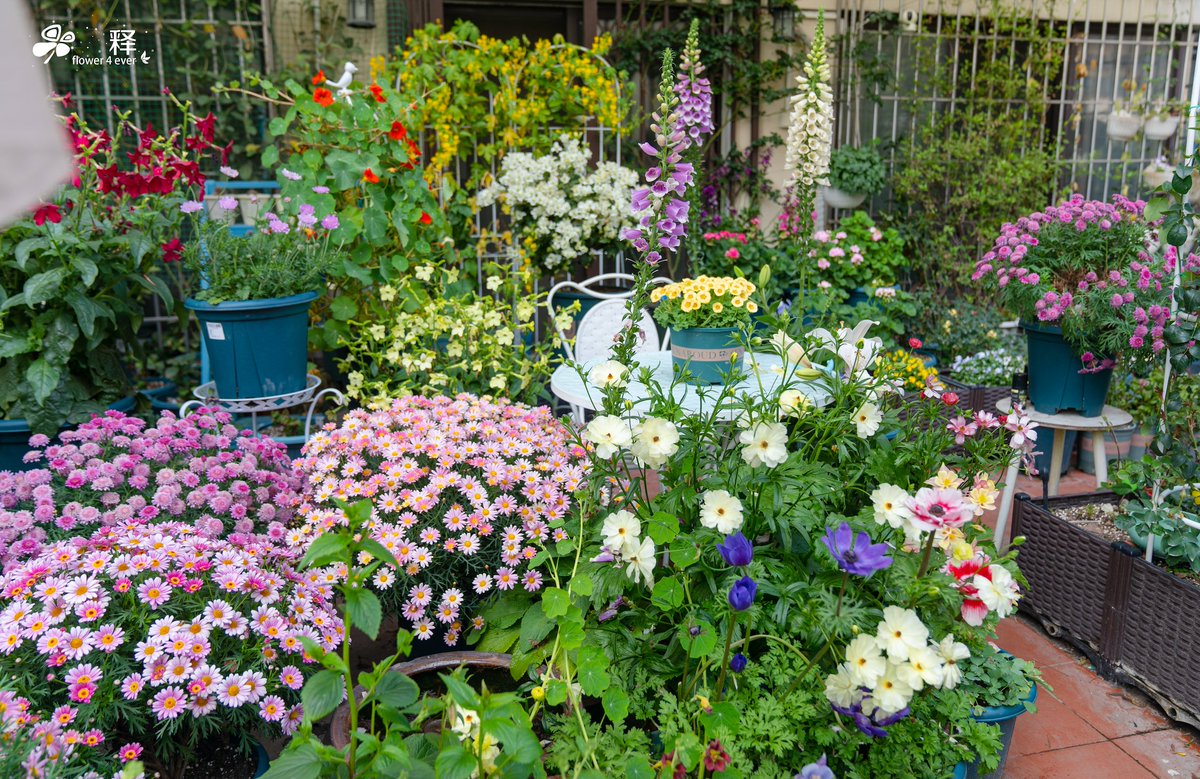 Eduard Turikanov tweet media