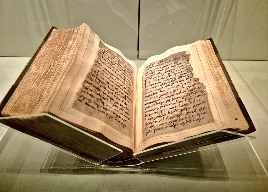 TracyK🌟👑🕊️🐝 tweet media