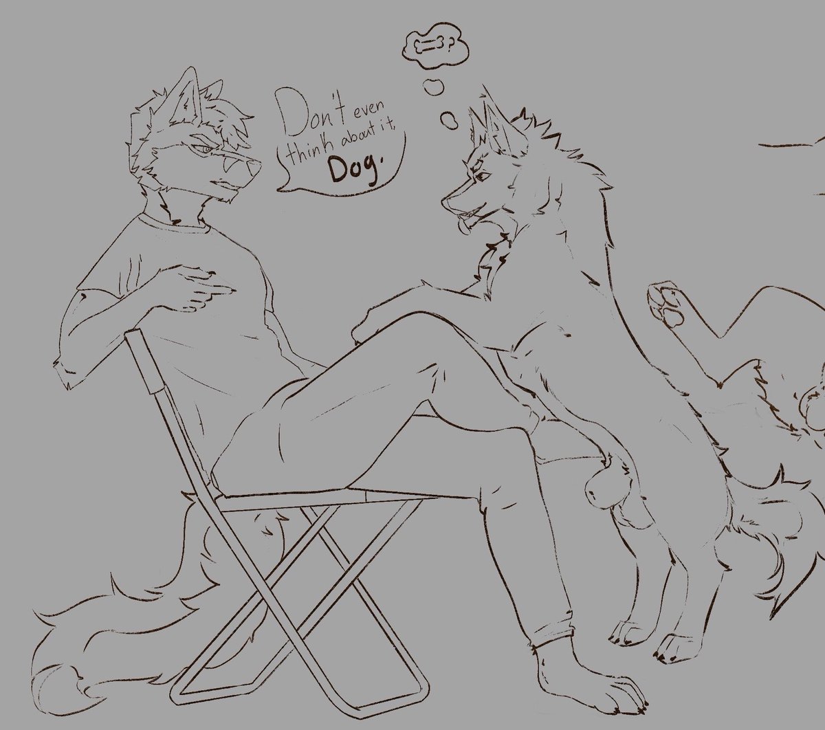 🐾🐾⤵️ tweet media