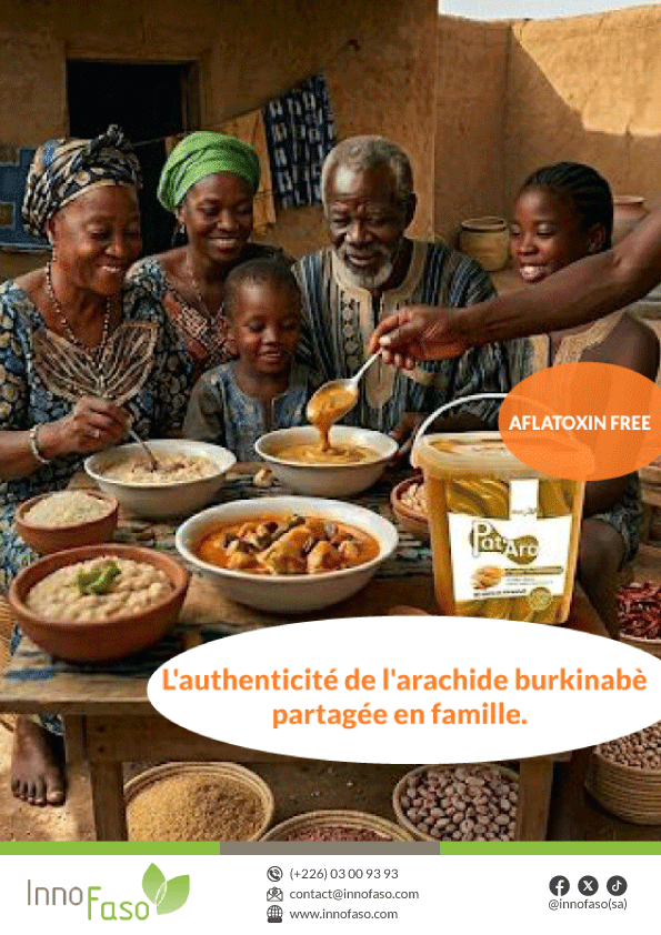 InnoFaso tweet media