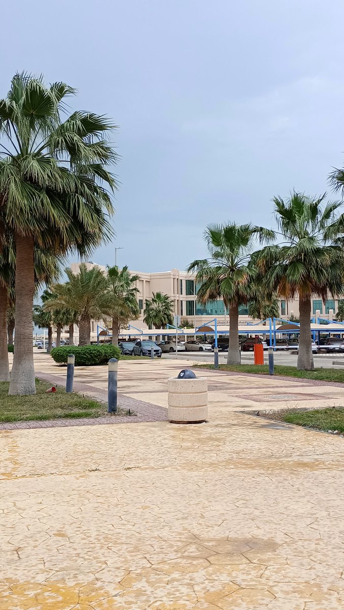 نيُوتن و أحيانًا شوق .. tweet media