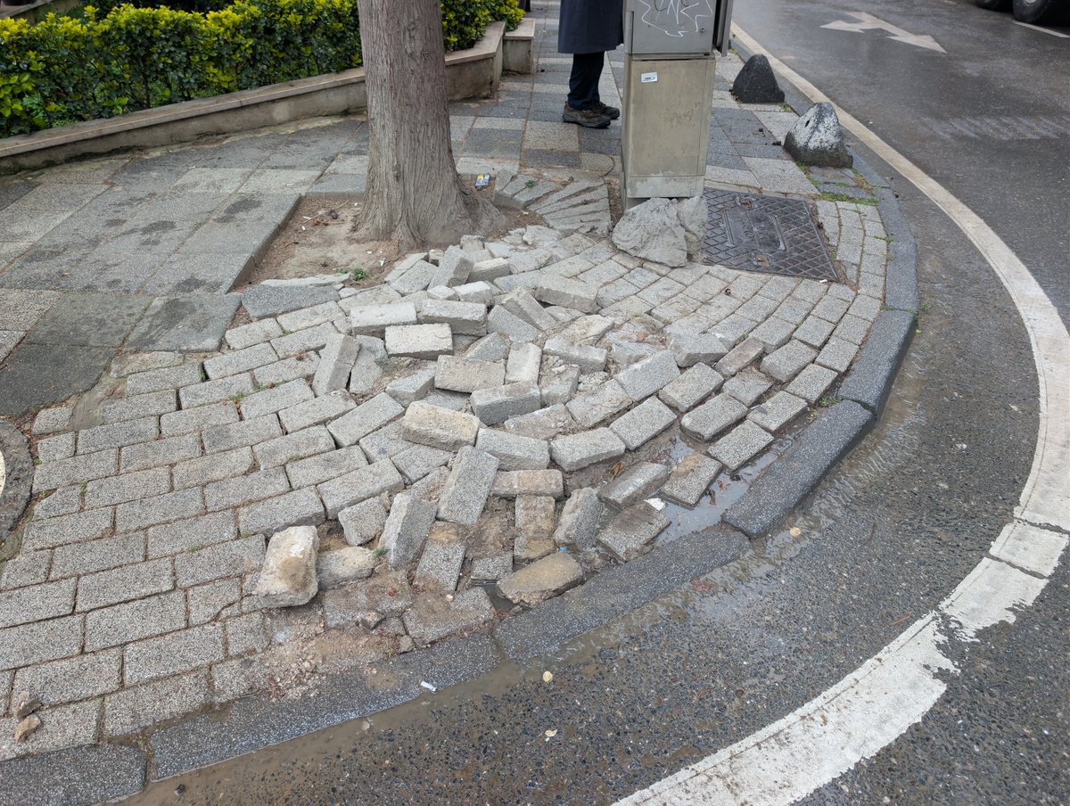 Ömer Yılmaz tweet media