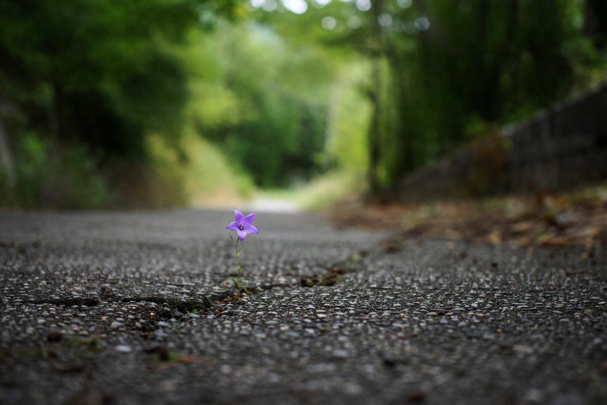 Cáritas Valladolid tweet media