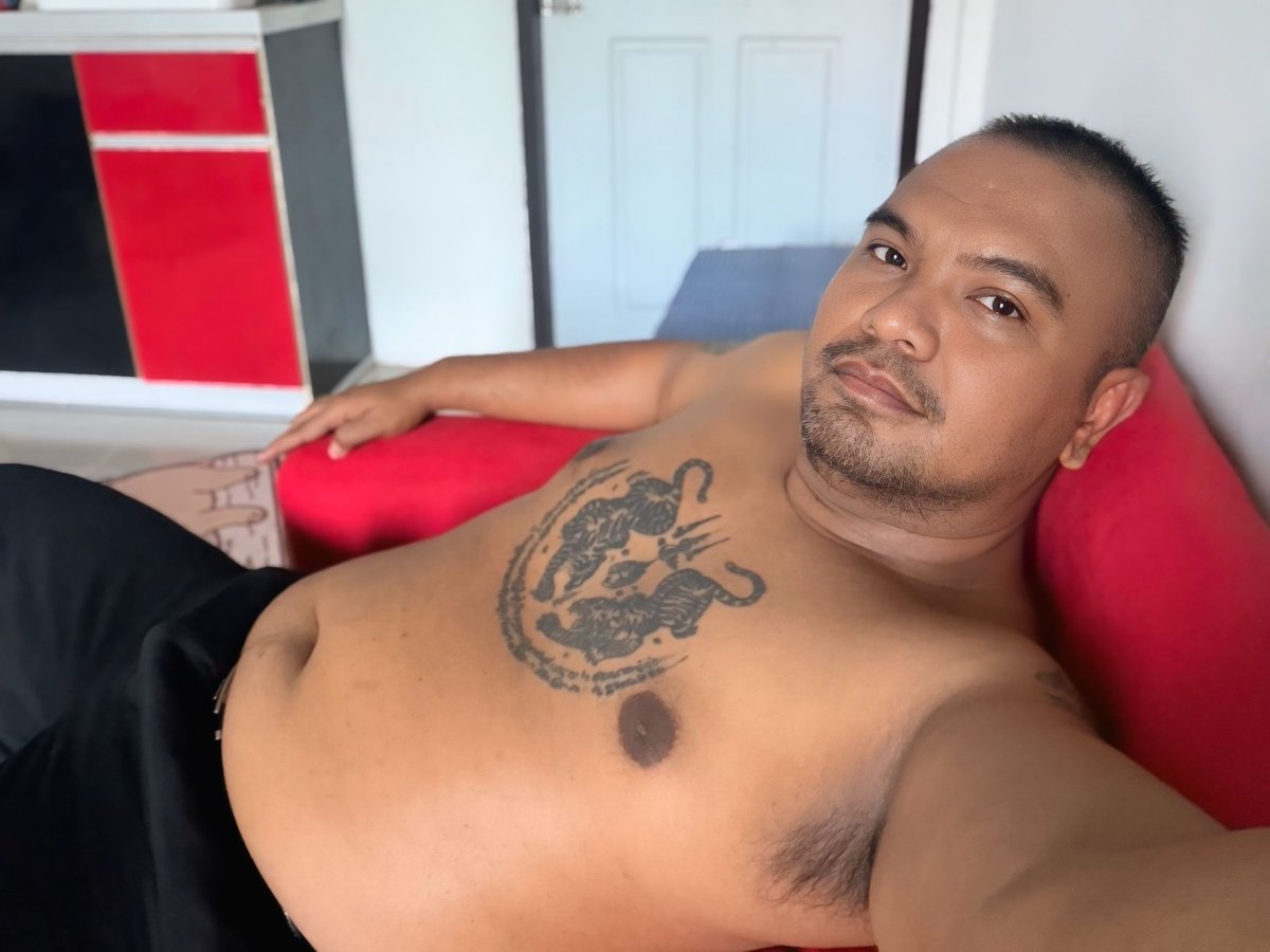 หมีชนบท tweet media