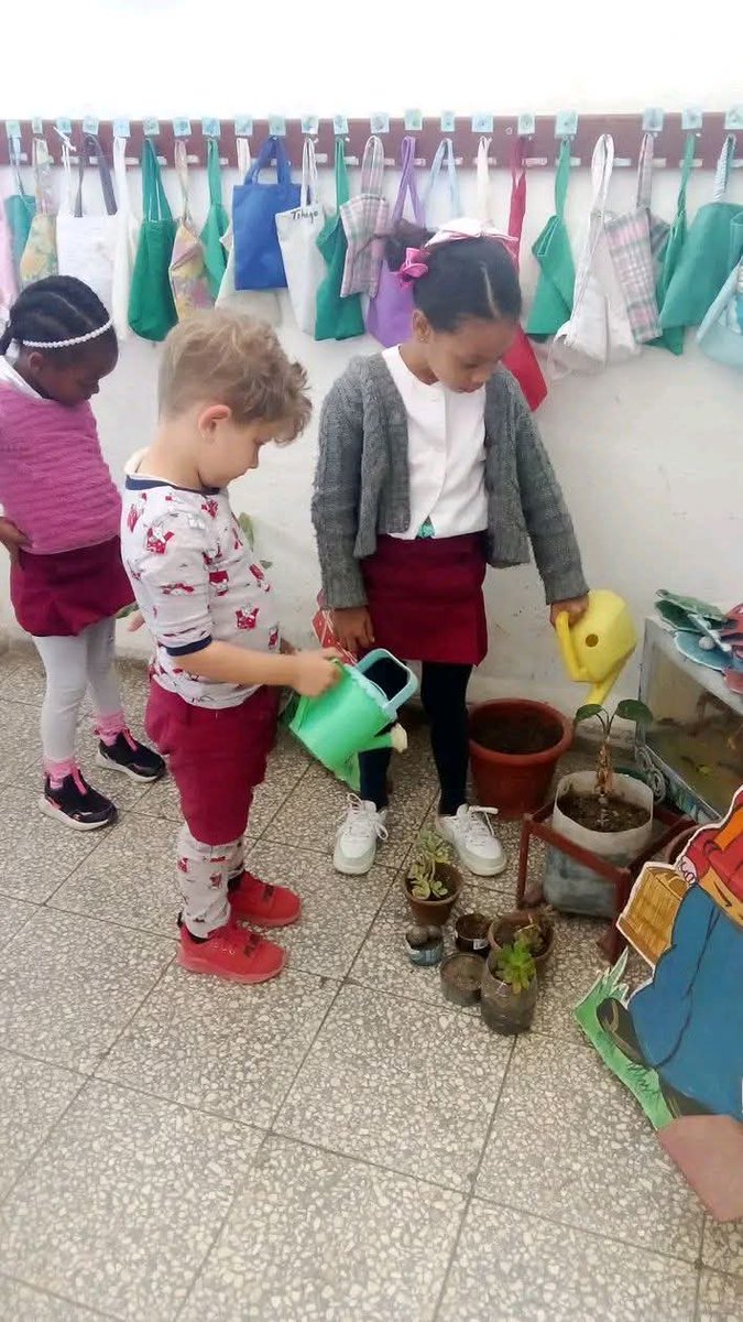 Yamilet Herrera tweet media