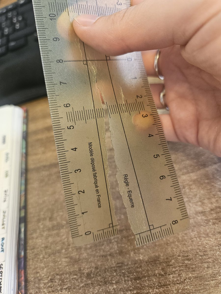 Elle aura vécu 20 ans, je trouve ça pas mal comme durée de vie ! #RIP