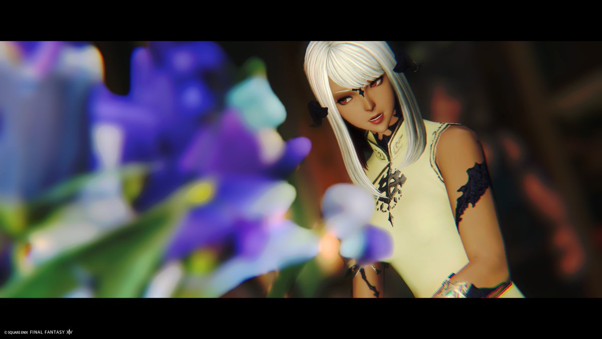 さしみ（日常）/Alec❂Ultima tweet media