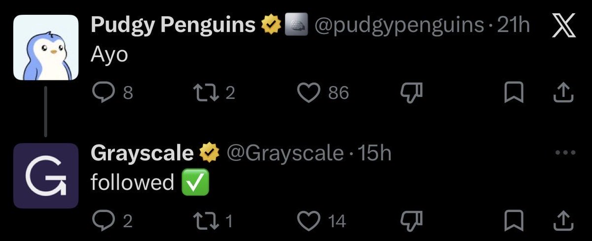 SNEK₳MOTO🐍 tweet media