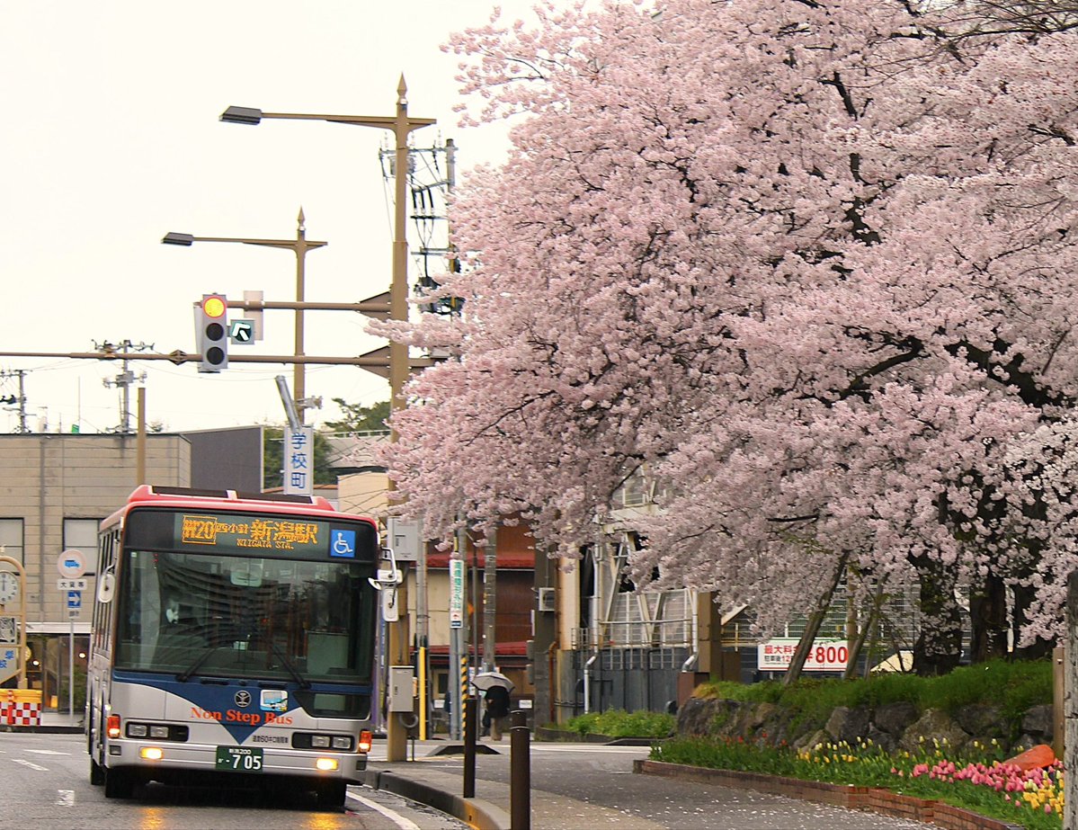 やまびこ tweet media