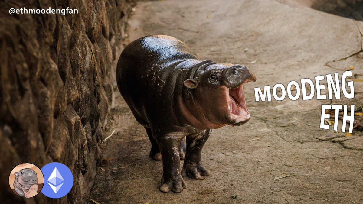 DaenggTiro's tweet photo. I’m literally just a hippo 🦛
$MoodengETH https://t.co/iOA6zj4kfO