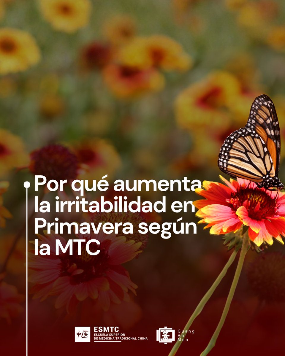 Escuela de MTC tweet media