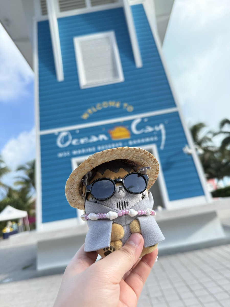 ⋆. 𐙚 ⋆˚࿔ lilac 𝜗𝜚˚⋆ tweet media