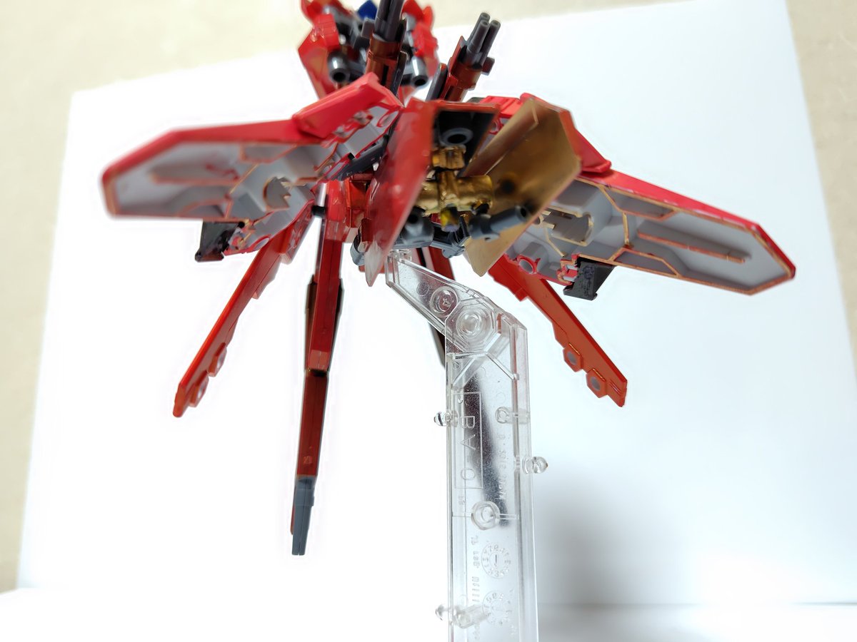 プラナリアン🦊🤪 tweet media