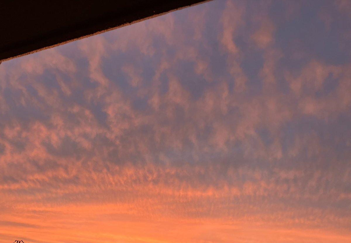 marie（マリー） tweet media