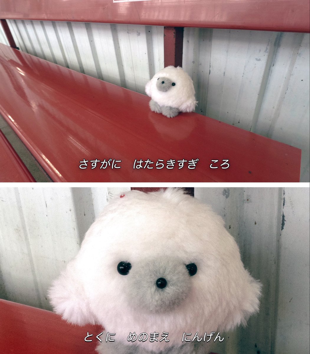 じょせまる tweet media