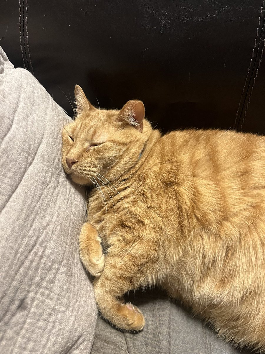 Strawberry!! tweet media