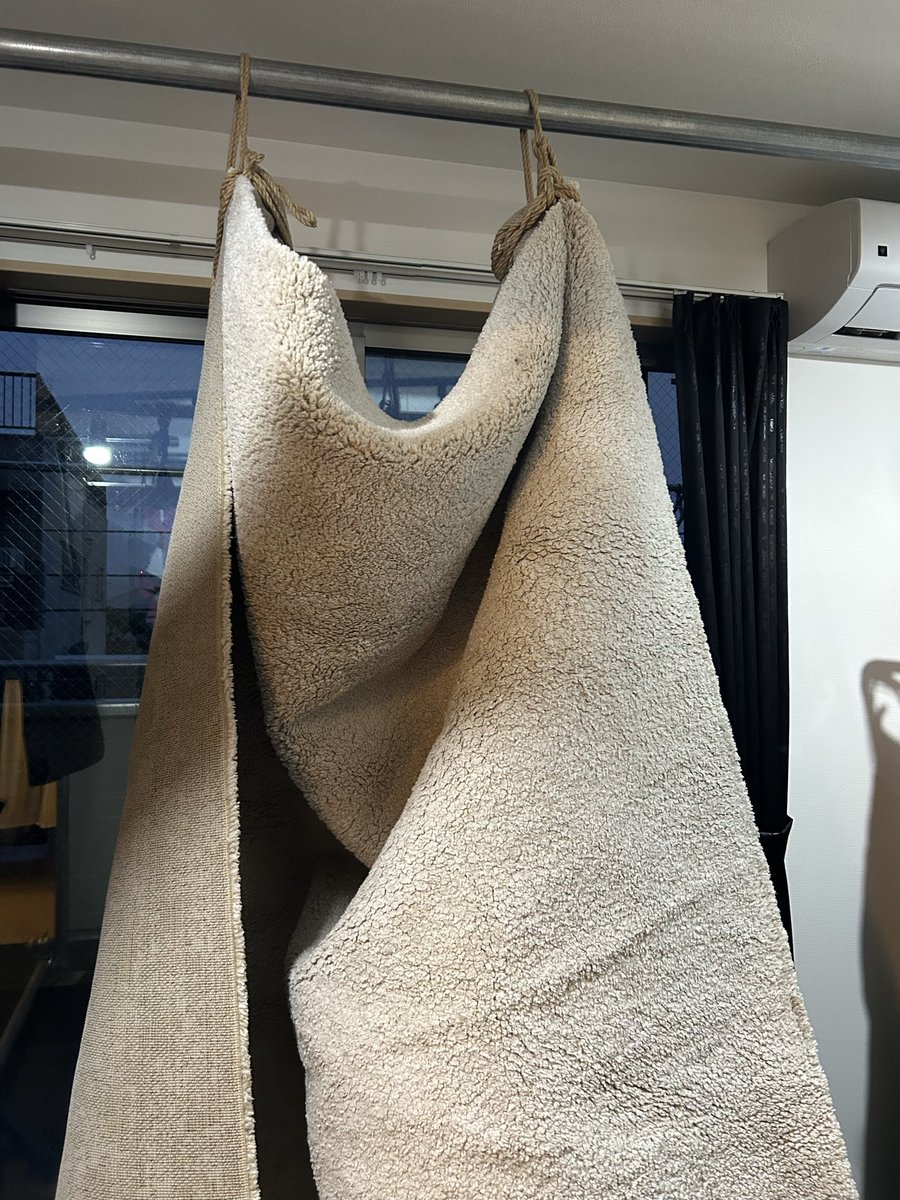 show_smhost's tweet photo. 3畳くらいの大きさのラグを洗ったんだけど、水を含んだラグは重過ぎて持ち上がらないので取り敢えず吊り上げた🏗️
けどこれが限界😅(まだ引きずってる)
いつの日か乾きますように🙏 https://t.co/Y9cFDXJDIU