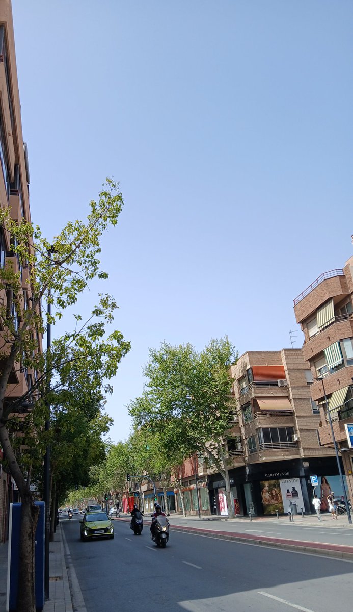 Survivorgirl25 tweet media