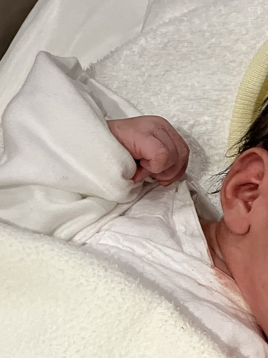 レネイル tweet media