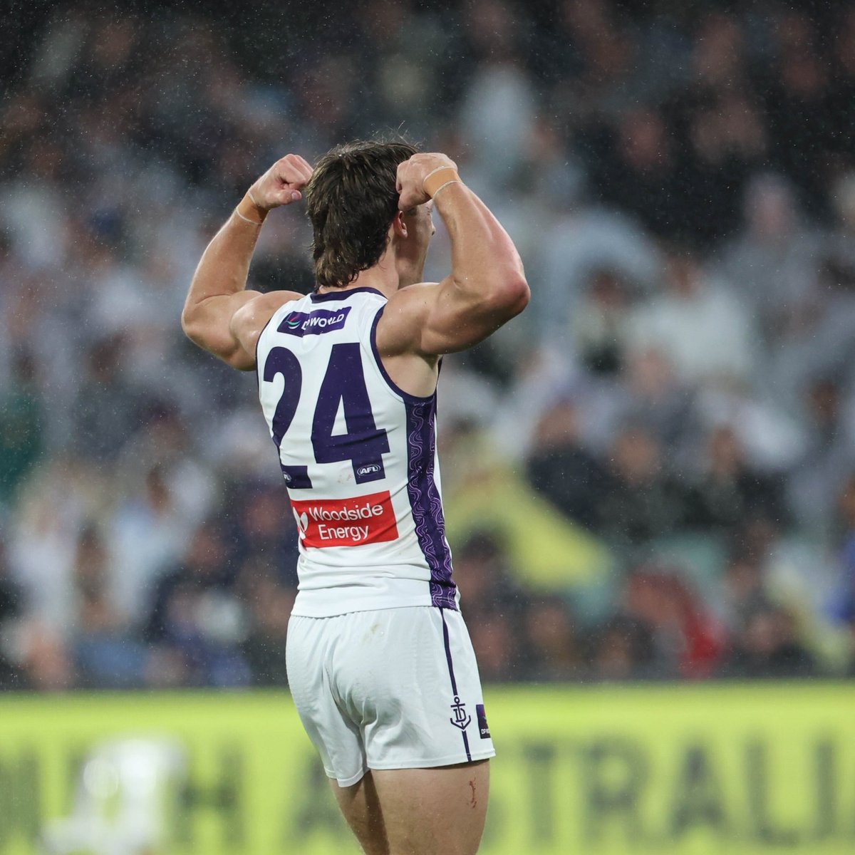 freodockers's tweet photo. here we go again...

#foreverfreo #AFLPiesFreo https://t.co/3BGUbLFkwo