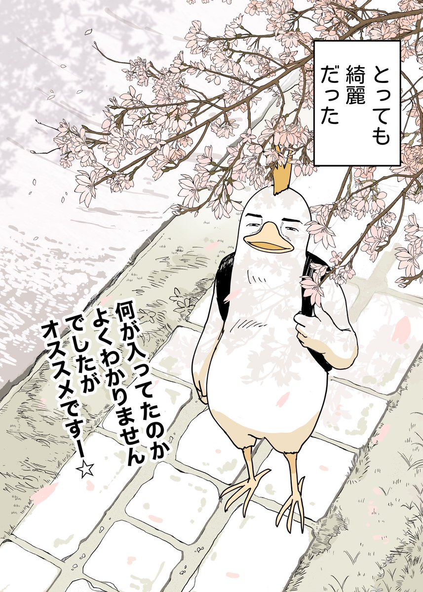 コケ山/漫画 tweet media