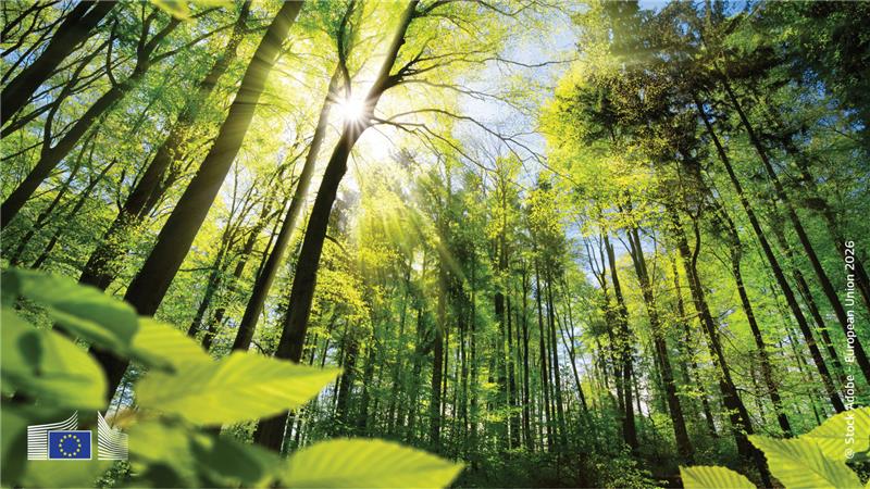 EU Agriculture🌱 tweet media