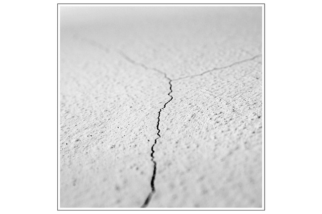 Bertha Moore tweet media