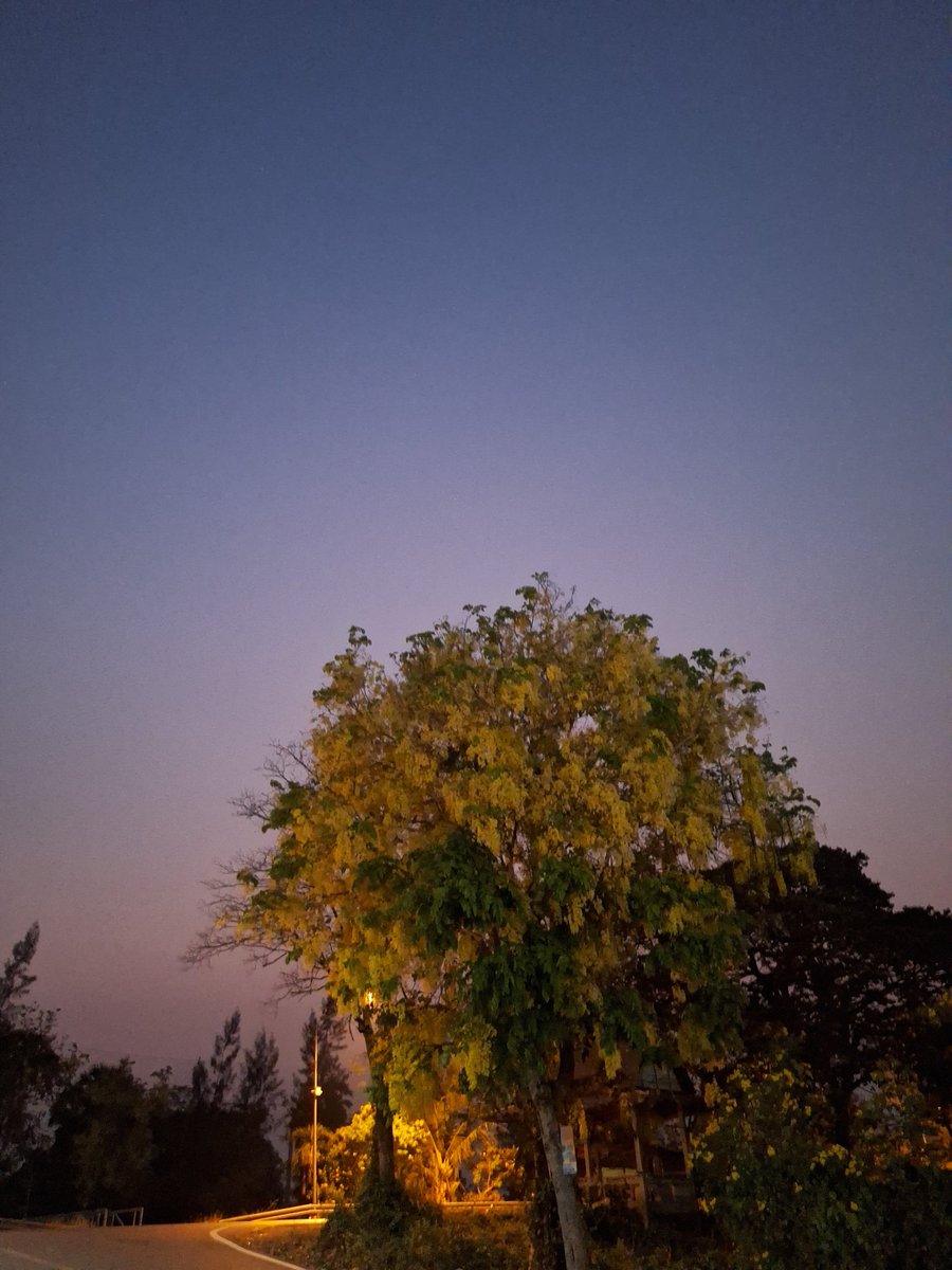 อีงูพิษ 🐍🐍🐍🐍 tweet media