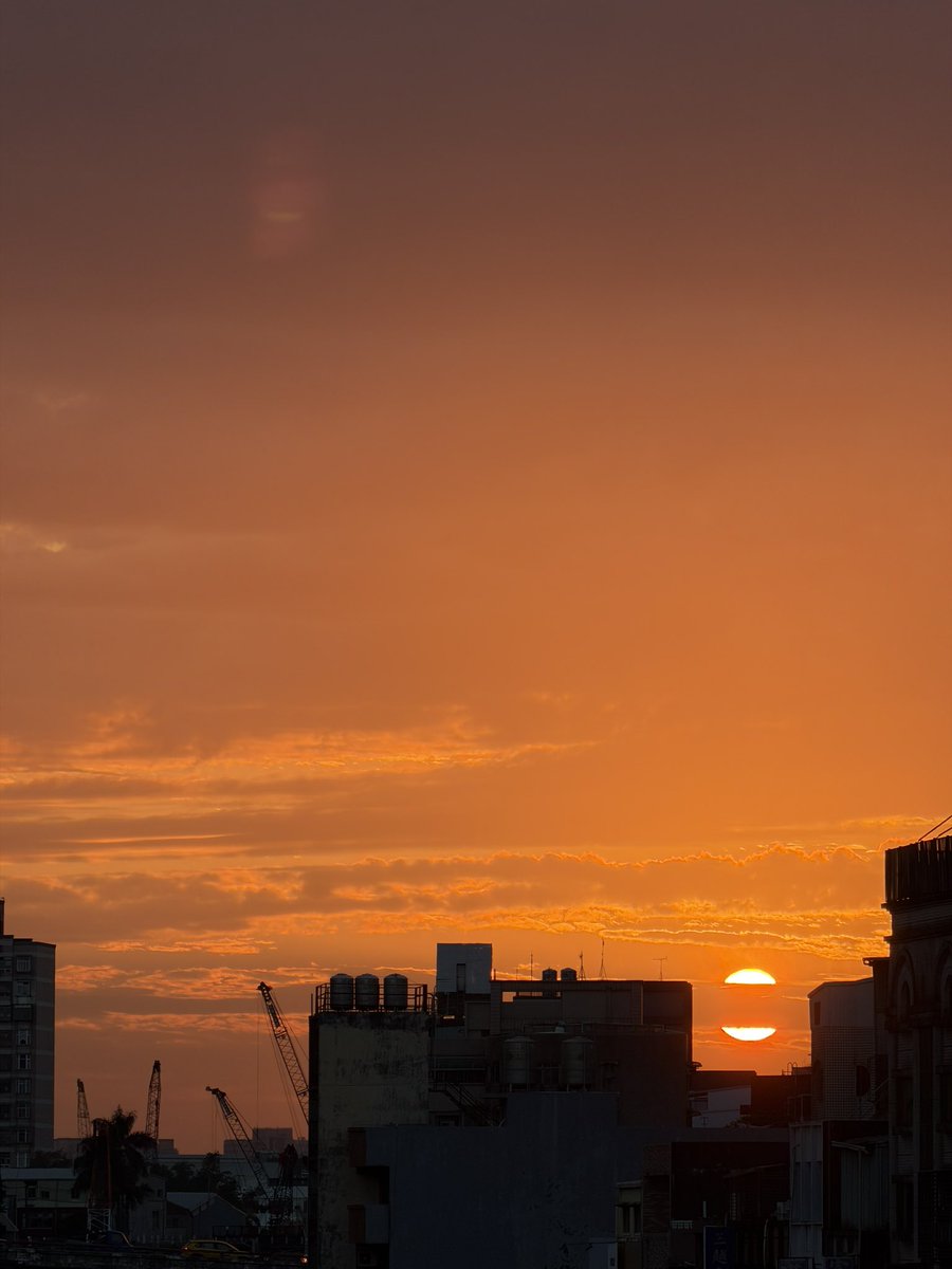 willy7283 tweet media