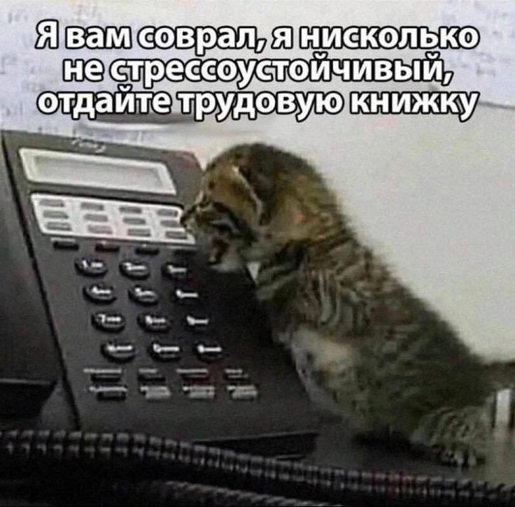 augusttini's tweet photo. угадайте, кто только что сделал перерыв на работе чтобы пореветь в туалете? https://t.co/IVtg0b9Eia