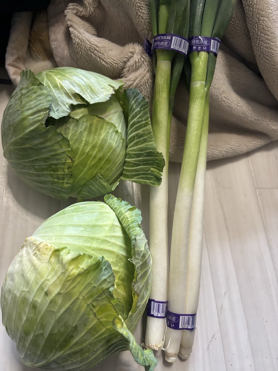 sunnsunn33's tweet photo. 直通野菜屋で買ったんだが…キャベツ、ネギ大根の全てで400円は破格すぎる꜀(.௰. ꜆)꜄
とりあえず、腐らせないように消費することを目標に頑張る(´∀`) https://t.co/GZOQhCQ1w7