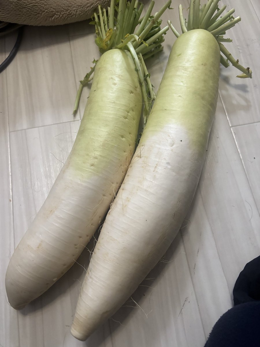 sunnsunn33's tweet photo. 直通野菜屋で買ったんだが…キャベツ、ネギ大根の全てで400円は破格すぎる꜀(.௰. ꜆)꜄
とりあえず、腐らせないように消費することを目標に頑張る(´∀`) https://t.co/GZOQhCQ1w7