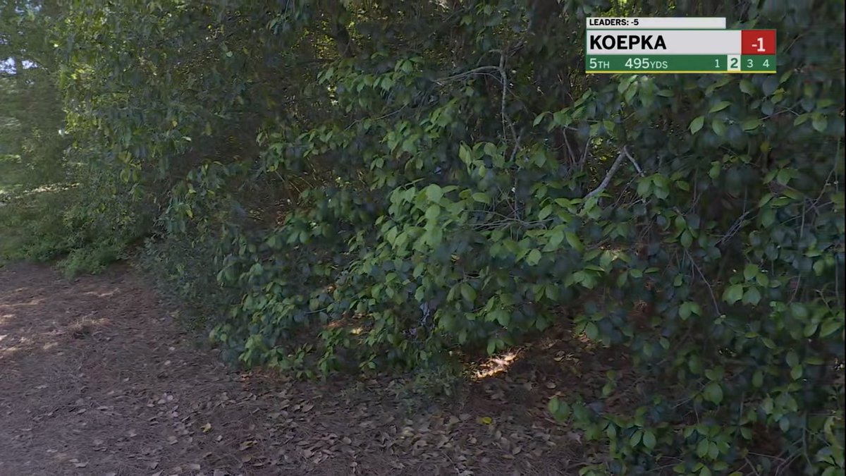 Colin Muller tweet media