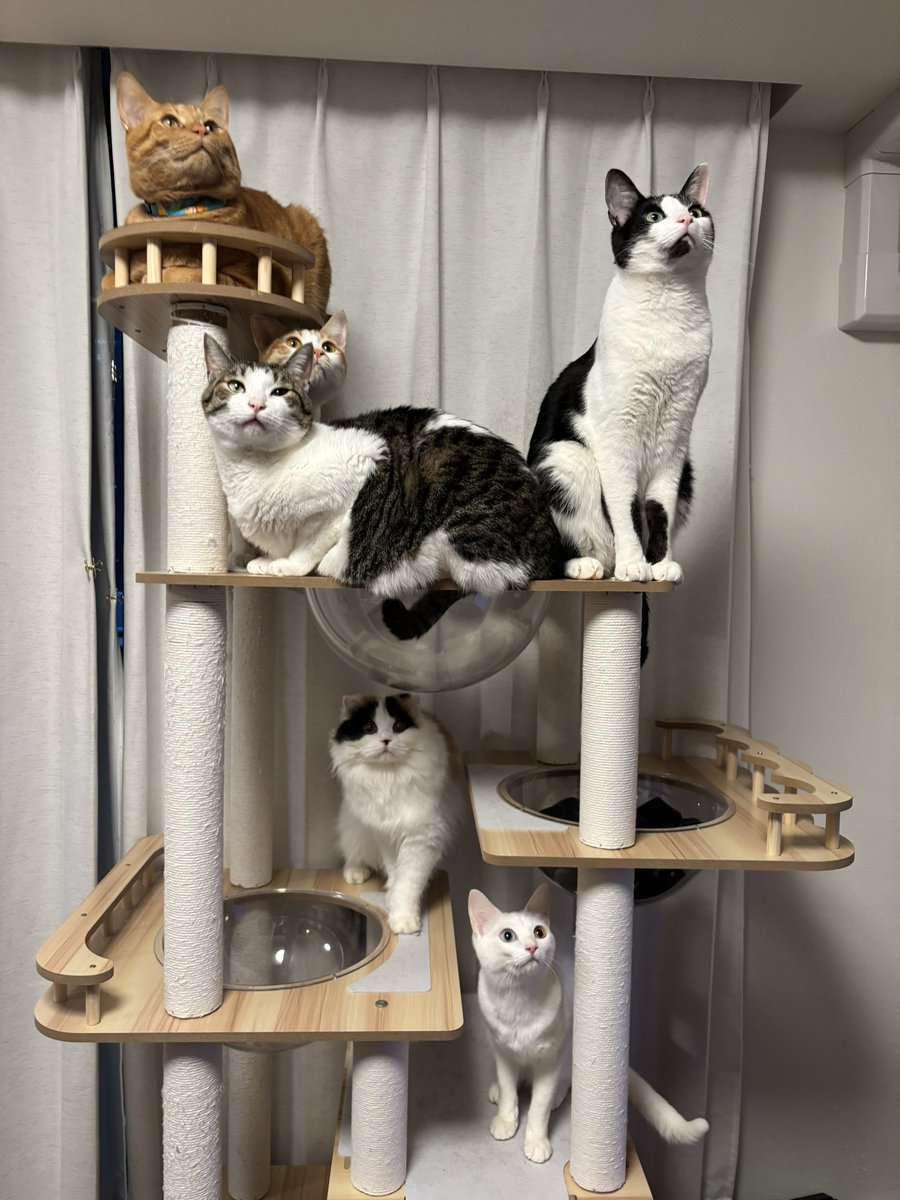 キムチ母‼️ tweet media