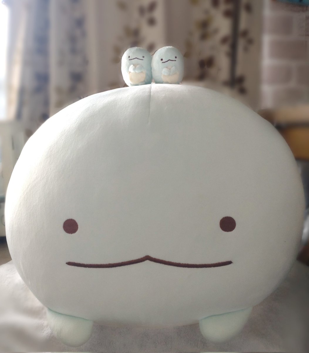 hito488584's tweet photo. すみっコ好きさんなら何となくサイズ感は分かるかもしれないけど
一応いつもの手のりとかちゃん(双子)と一緒に撮るとよく分かる、とっても大きくて私の大切な

最強！スーパーもーちもち大福まるんまるん最強可愛いとか���ゃん(←長い)

#サンエッ活
#すみっコ写真部
#ぬい撮り https://t.co/CQ5ezUTWPA