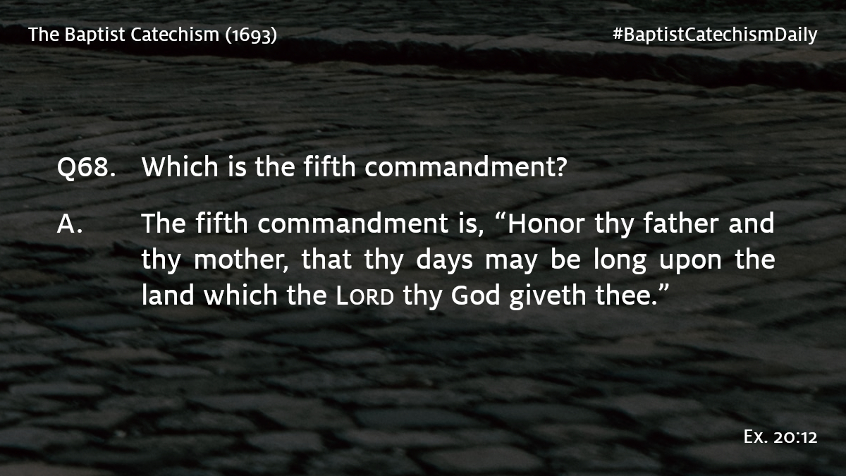 Tim Giovanetto tweet media