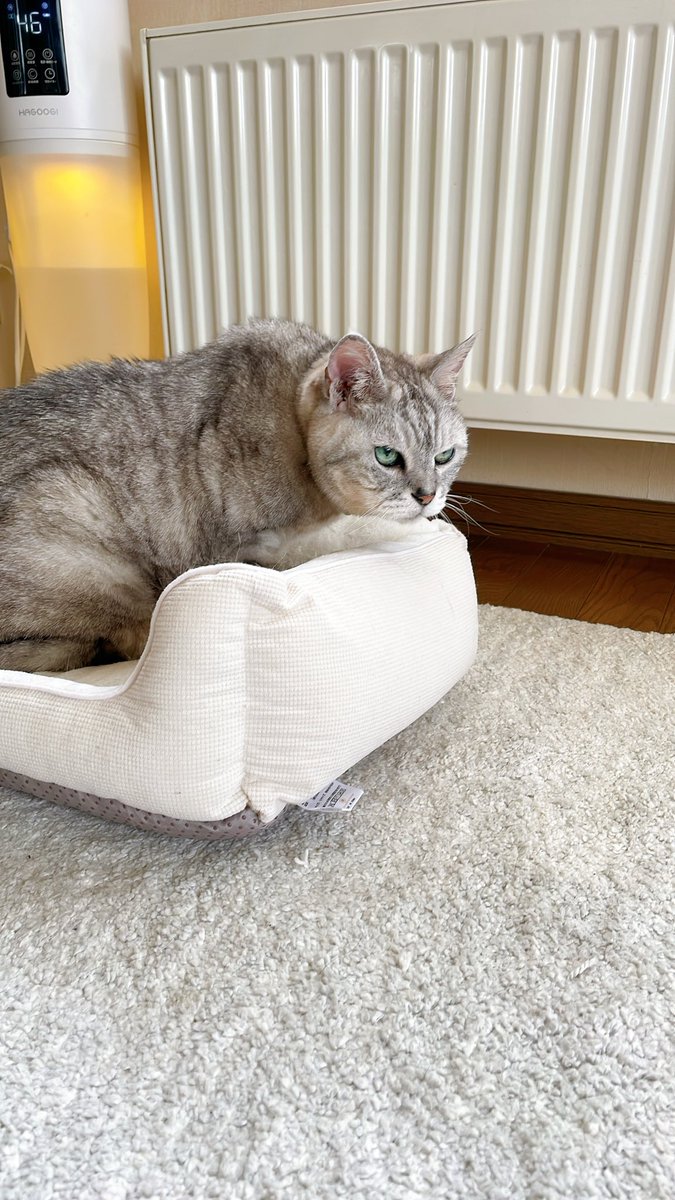 BETTY❤️LOVE tweet media