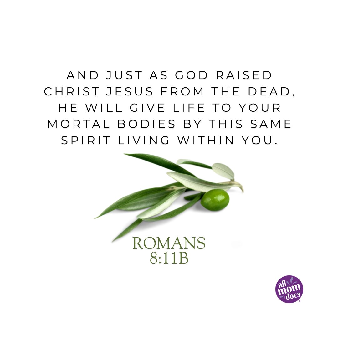 AllMomDoes tweet media