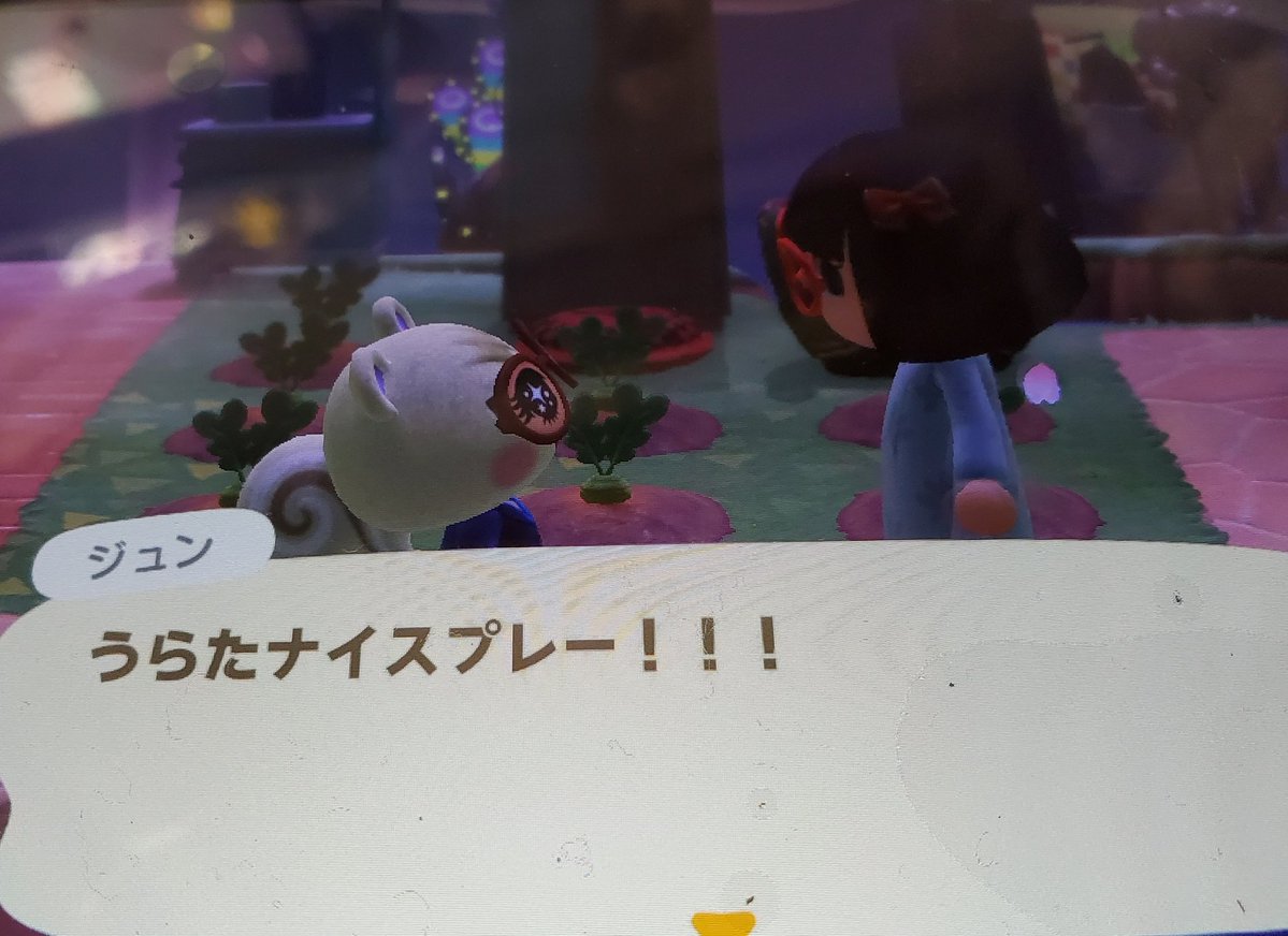 たみ巨 🐇岐阜G党 tweet media