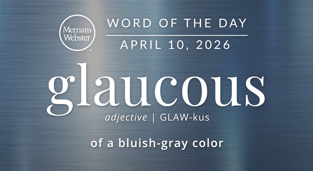 Merriam-Webster tweet media