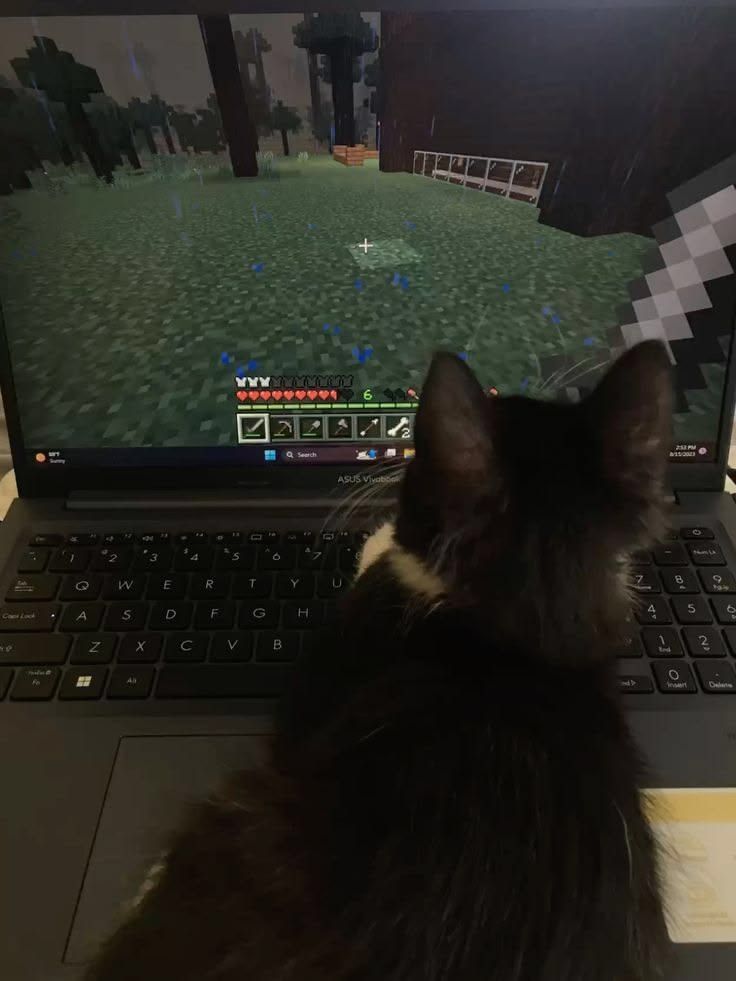 Enderman tweet media