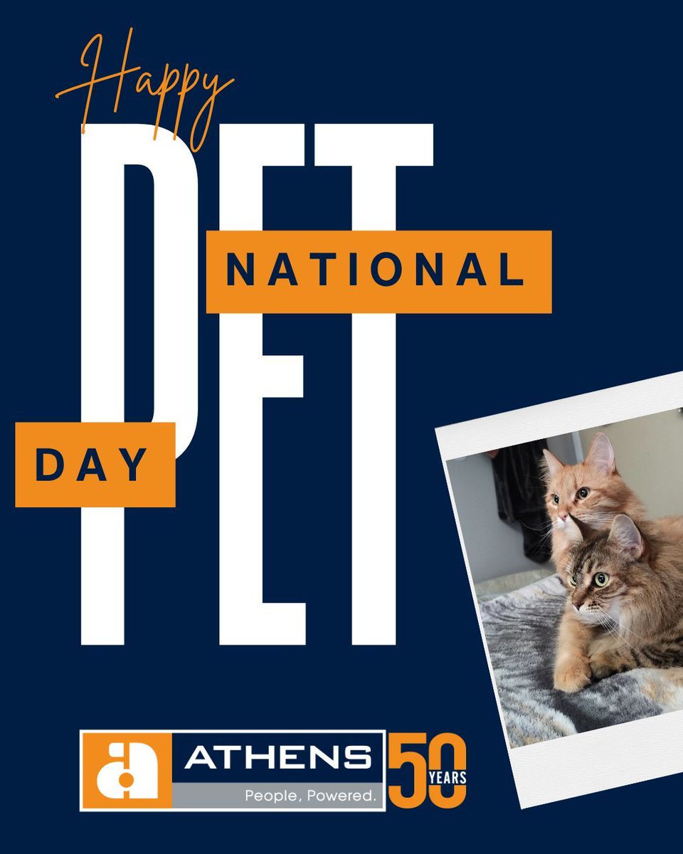 Athens tweet media