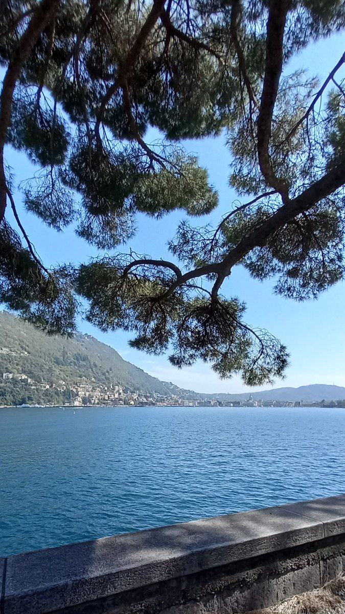 In_Segno_'s tweet photo. Lasciare andare una persona significa lasciare andare come ti faceva sentire,  come era e come avrebbe potuto essere...e fa male. https://t.co/NYFUyKzmbD
